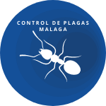 Control de Plagas Malaga